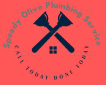 Anytime Olive Plumbing Services